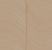 Loymina Equilibre BR4 002/1